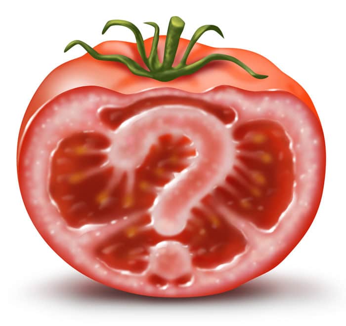 Half a tomato with a question mark in the middle with a white background close up