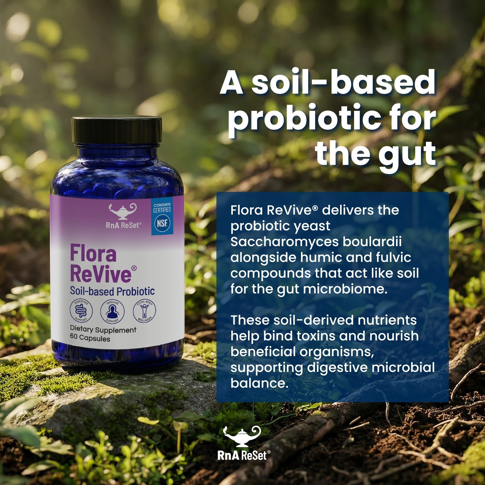 Dr Carolyn Dean's Flora Revive™ (60 capsules) - Image 5