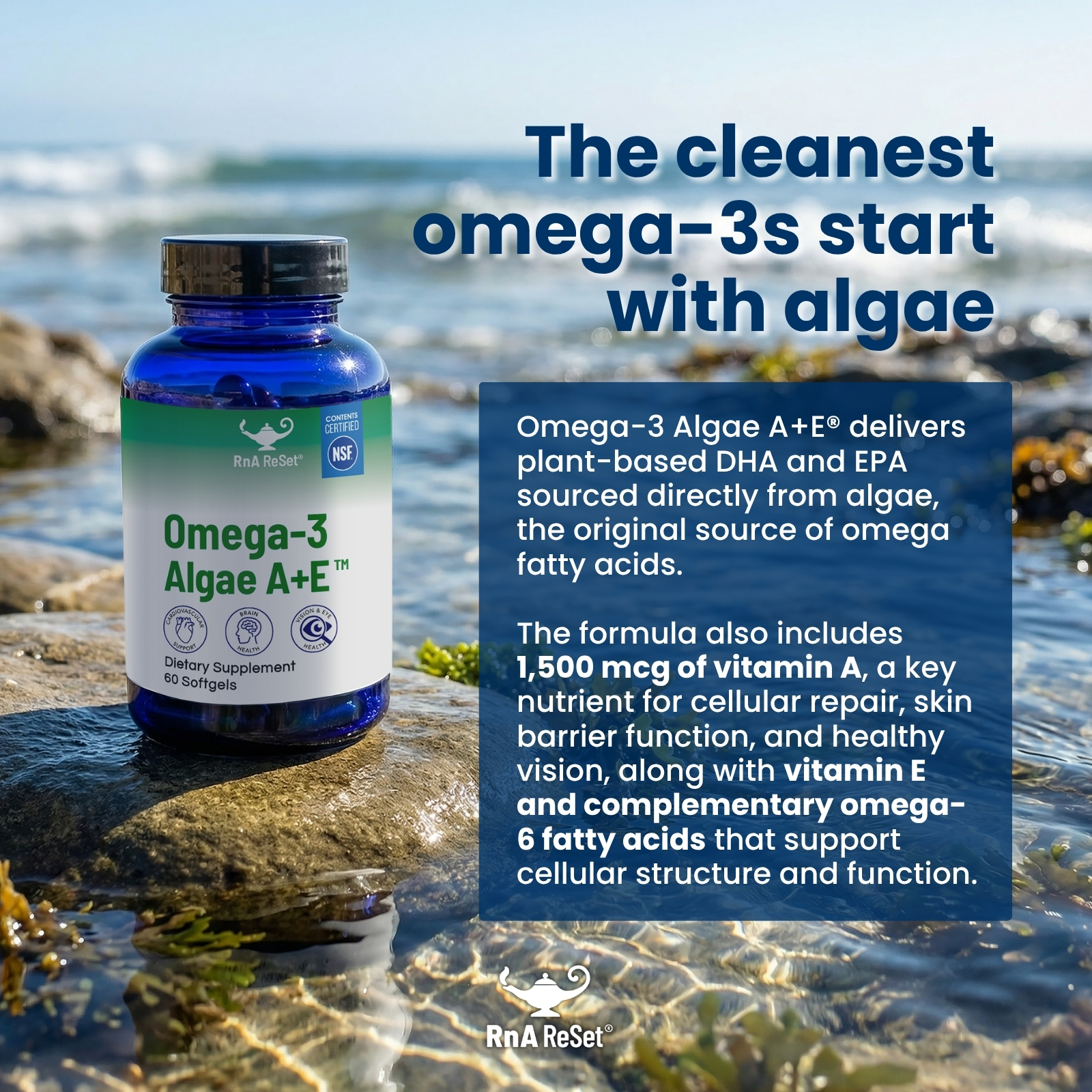 Dr Carolyn Dean's Omega-3 Algae A+E™ (60 capsules) - Image 4